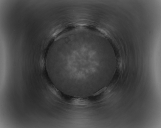 X0000086920568200704161405