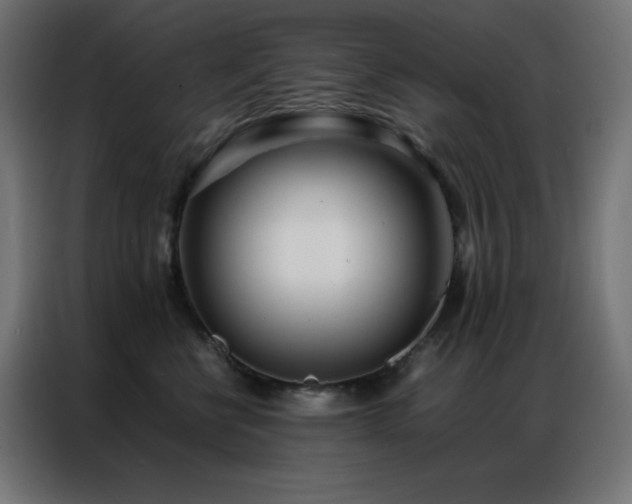 X0000086920570200704161405