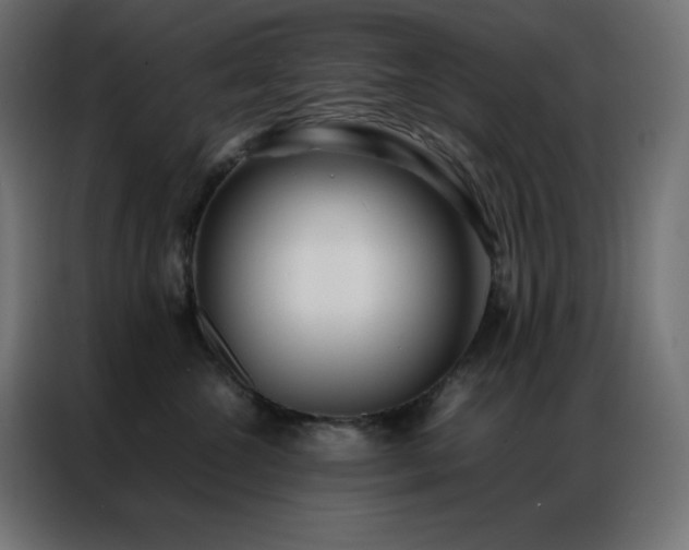 X0000086920572200704161405