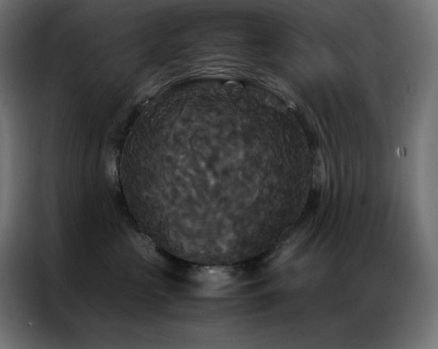 X0000086920573200704161405