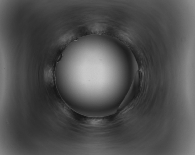 X0000086920575200704161405