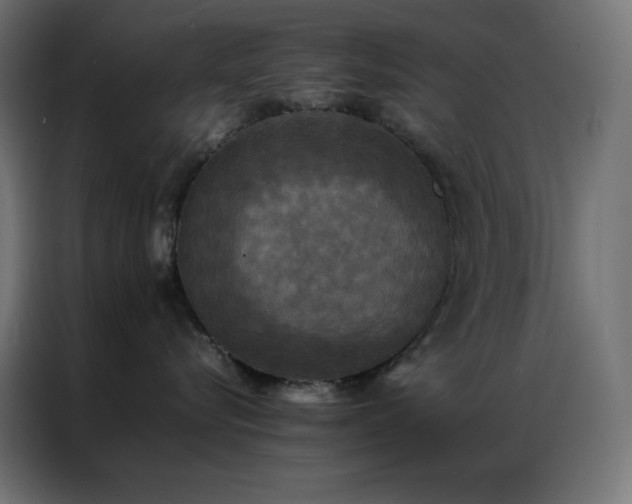 X0000086920576200704161405
