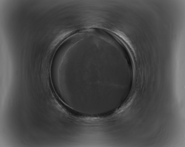 X0000086920577200704161405