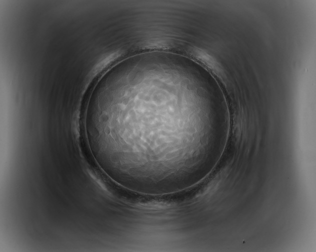 X0000086920578200704161405