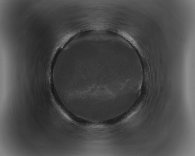 X0000086920581200704161404