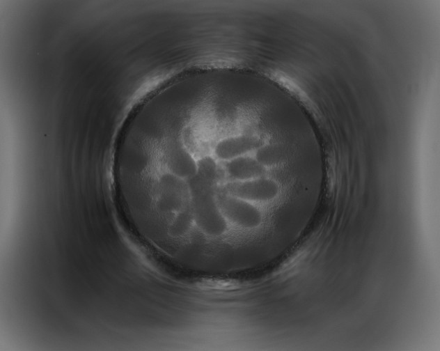 X0000086920582200704161404