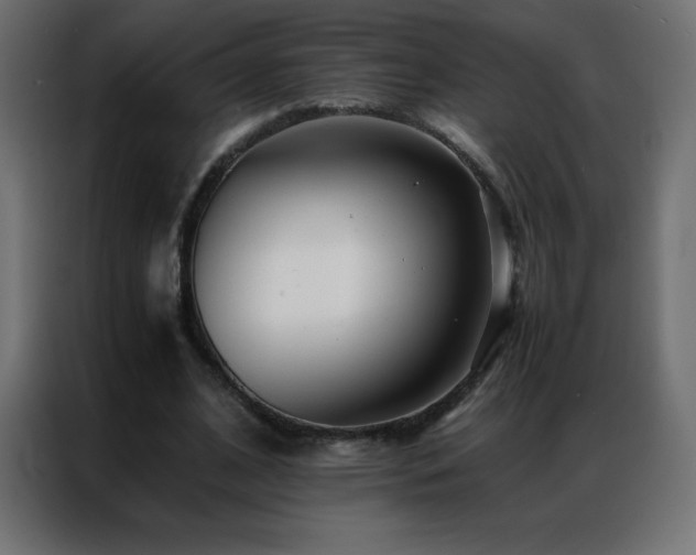 X0000086920584200704161404