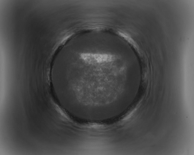 X0000086920585200704161404