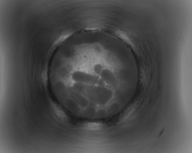 X0000086920586200704161404