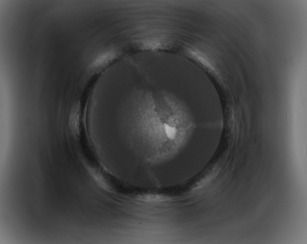 X0000086920590200704161404