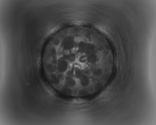 X0000086920591200704161404
