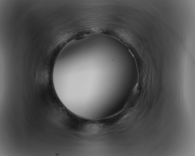 X0000086920595200704161404