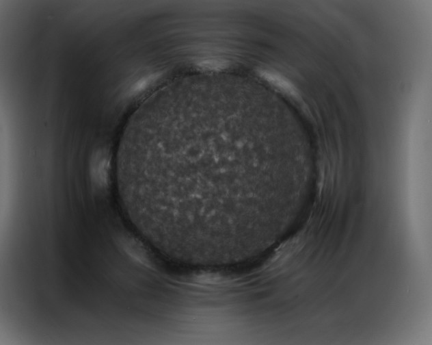 X0000086920596200704161404