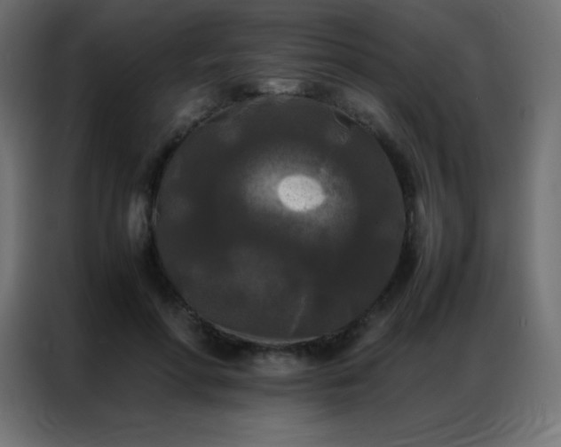 X0000086920598200704161404