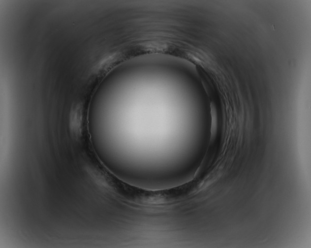 X0000086920600200704161404