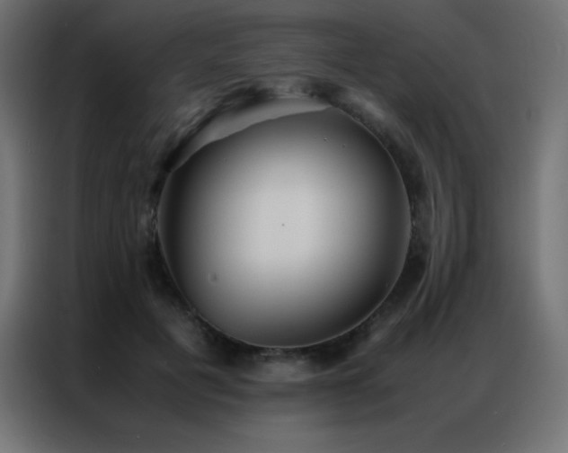 X0000086920601200704161404