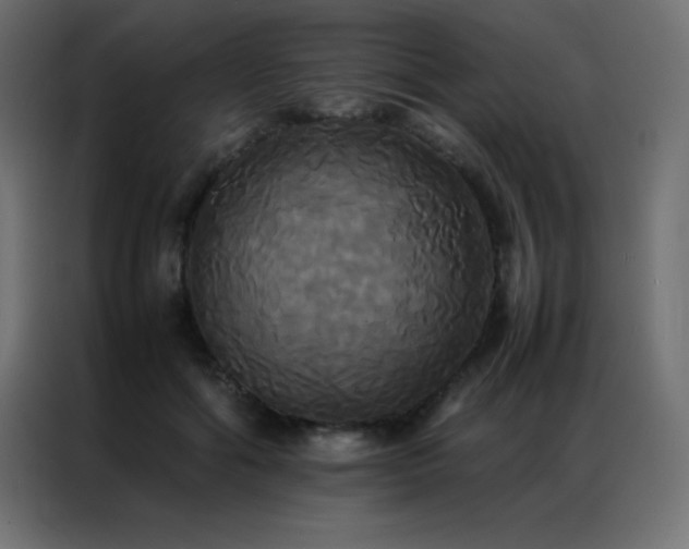 X0000086920602200704161404