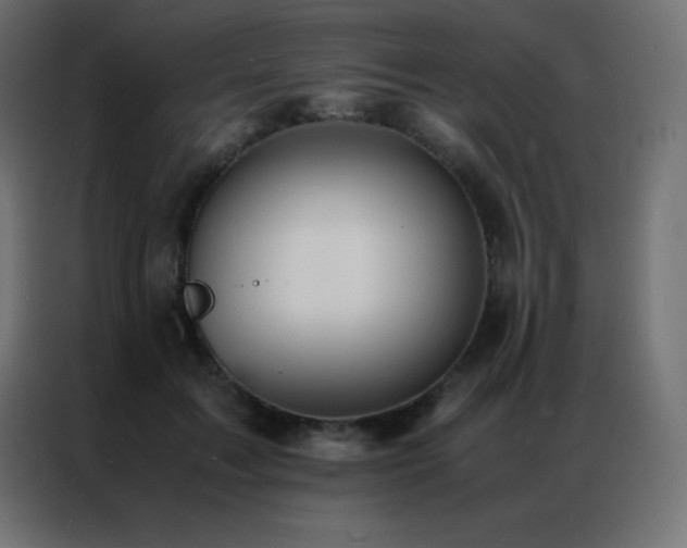 X0000086920603200704161404