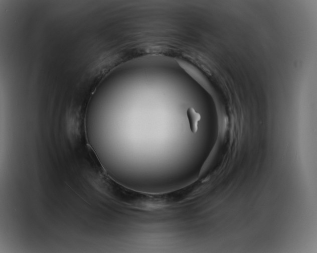 X0000086920604200704161404