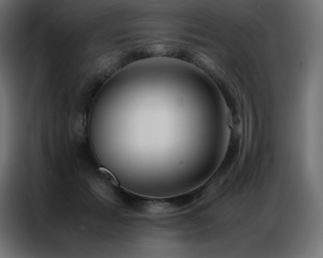 X0000086920605200704161404