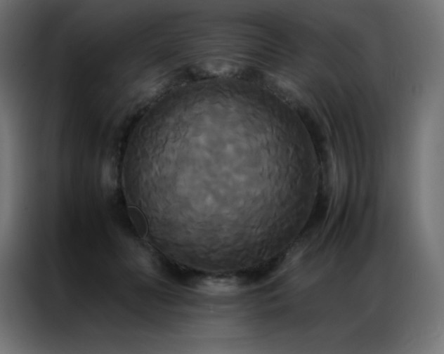X0000086920606200704161404