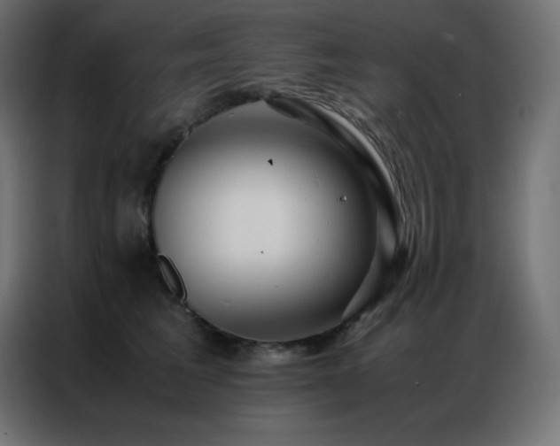 X0000086920613200704161404