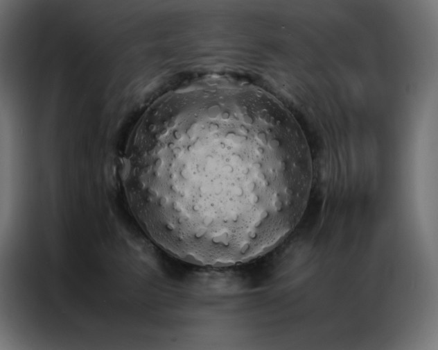 X0000086920615200704161404