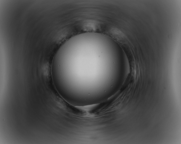 X0000086920616200704161404