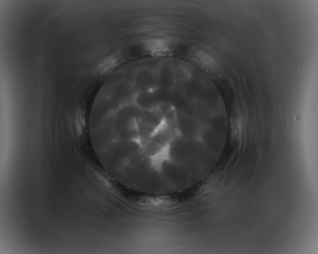 X0000086920618200704161404