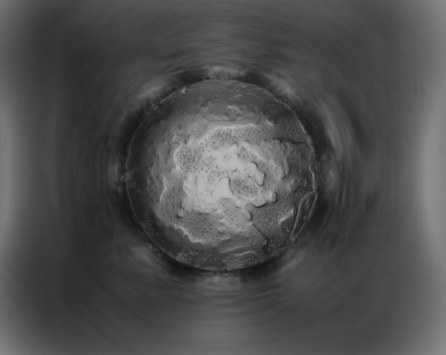 X0000086920619200704161404