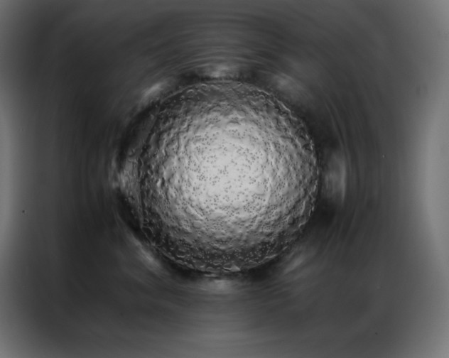 X0000086920620200704161404