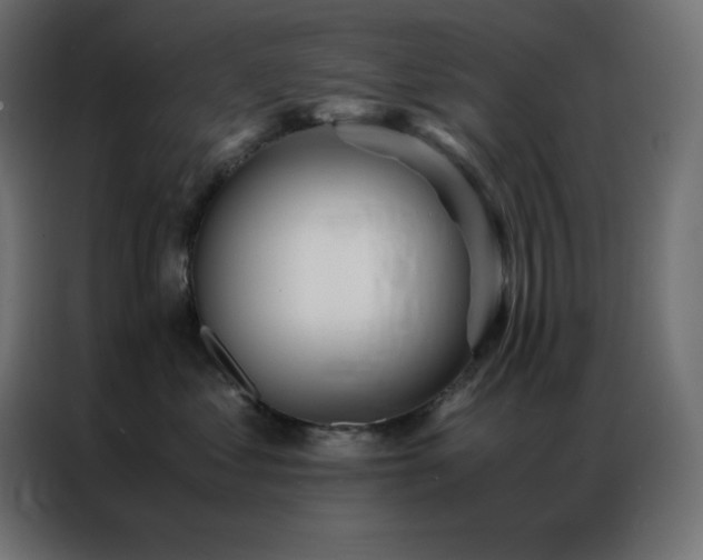 X0000086920621200704161404