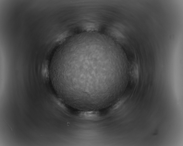 X0000086920622200704161404