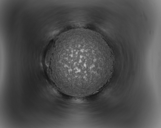 X0000086920624200704161404