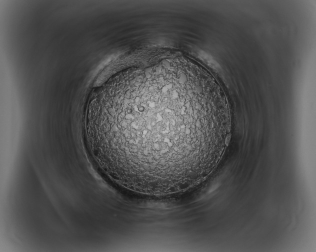 X0000086920625200704161403