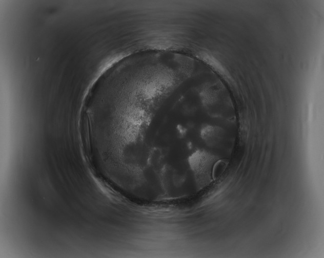 X0000086920626200704161403