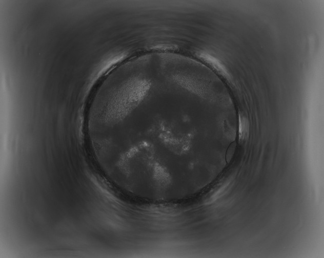 X0000086920627200704161403