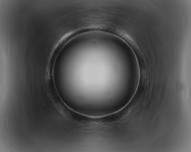 X0000086920628200704161403