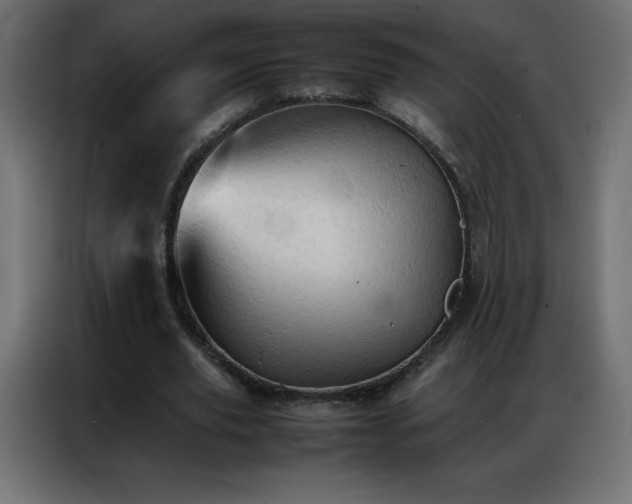 X0000086920629200704161403