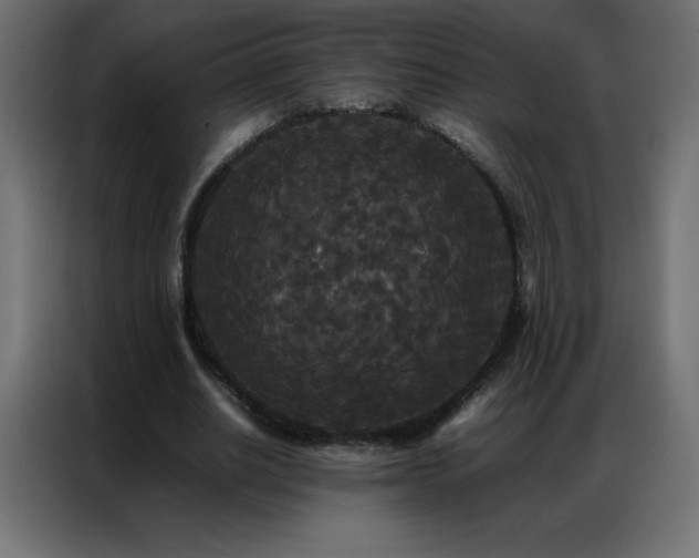 X0000086920630200704161403