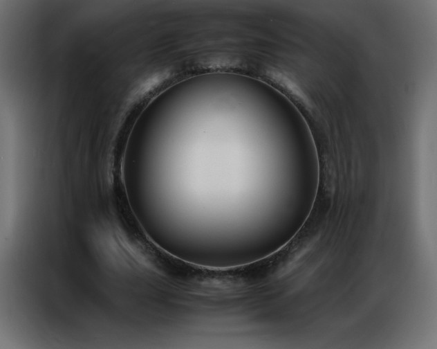 X0000086920631200704161403