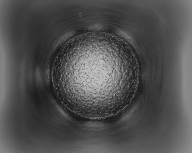 X0000086920633200704161403