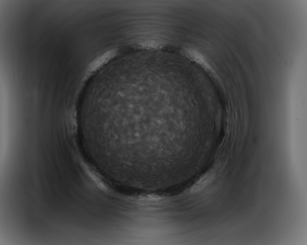 X0000086920634200704161403