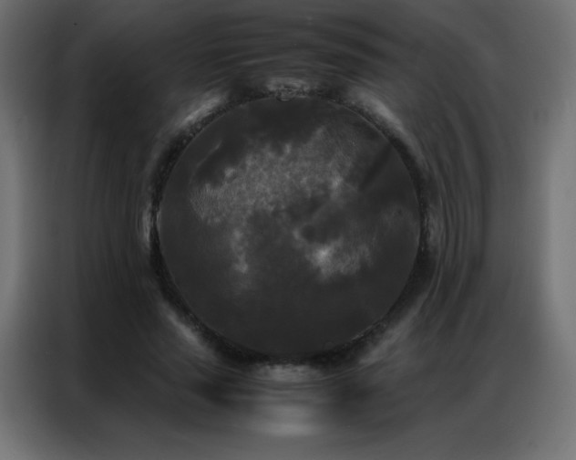 X0000086920637200704161403