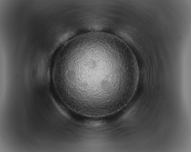 X0000086920638200704161403
