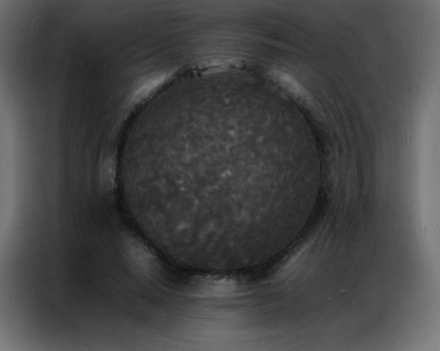 X0000086920640200704161403