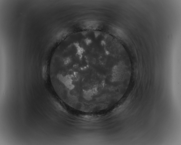 X0000086920641200704161403