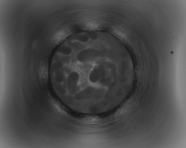 X0000086920642200704161403