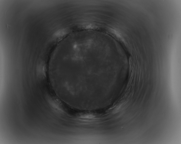 X0000086920643200704161403