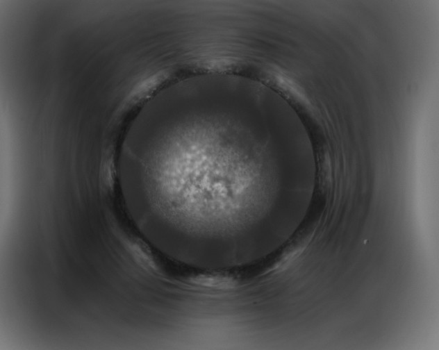 X0000086920644200704161403